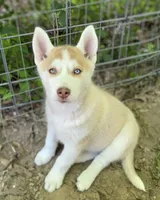 processed/3ecdb1ab-82ba-47a4-b443-b029c77ff4b8/facility/f99b39c6-6ce5-41cc-adbf-c148bb9175cc