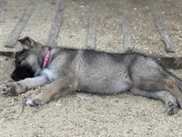 processed/3ecdb1ab-82ba-47a4-b443-b029c77ff4b8/listing/09645d51-f614-491a-9ed2-d7b9c648da7e/8c039184-c65d-42b3-85f1-42c40941b861