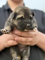 processed/3ecdb1ab-82ba-47a4-b443-b029c77ff4b8/listing/09645d51-f614-491a-9ed2-d7b9c648da7e/9e4f110b-074e-4a56-9e52-a9e393c5c835