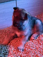 processed/3ecdb1ab-82ba-47a4-b443-b029c77ff4b8/listing/09645d51-f614-491a-9ed2-d7b9c648da7e/bf7fef75-6305-4c2c-8990-55812815127a