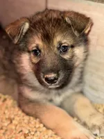 processed/3ecdb1ab-82ba-47a4-b443-b029c77ff4b8/listing/139020e2-19ae-4fd8-8155-c4392a3416aa/00ed38ee-0cc8-49ba-ba93-6b197ff1ba86