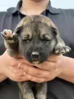 processed/3ecdb1ab-82ba-47a4-b443-b029c77ff4b8/listing/139020e2-19ae-4fd8-8155-c4392a3416aa/2ab1b939-e3ef-477a-8a42-89d67577c720