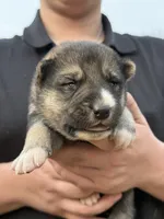 processed/3ecdb1ab-82ba-47a4-b443-b029c77ff4b8/listing/55e56c00-560e-4cec-afc7-39b0177d004a/90acd60e-ca8e-424b-982a-20364cafbca7