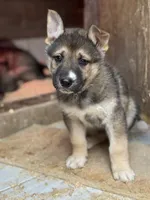 processed/3ecdb1ab-82ba-47a4-b443-b029c77ff4b8/listing/55e56c00-560e-4cec-afc7-39b0177d004a/cf0b6c33-0014-4b24-b63c-571b6f744503