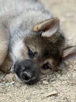 processed/3ecdb1ab-82ba-47a4-b443-b029c77ff4b8/listing/6e20d6f4-653c-45f5-a3de-3efaa883c672/668a7c2b-a35a-4dff-80f2-ba98fb86d104