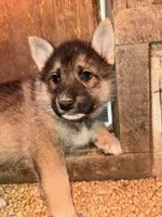 processed/3ecdb1ab-82ba-47a4-b443-b029c77ff4b8/listing/6e20d6f4-653c-45f5-a3de-3efaa883c672/d5b1814d-ebf5-4707-83af-5b1577fce87b