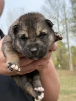 processed/3ecdb1ab-82ba-47a4-b443-b029c77ff4b8/listing/c9b89149-3763-45eb-a8a0-8c640f0709cc/46761c1e-0b1b-484b-9fd5-dd44b494c0ad