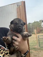 processed/3ecdb1ab-82ba-47a4-b443-b029c77ff4b8/listing/c9b89149-3763-45eb-a8a0-8c640f0709cc/da8bd7ce-5418-4e73-be7b-cceb04b60b93