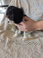 processed/3ecedac2-33ea-4290-a0cc-ecc2d871728d/listing/08c0a061-80f9-4974-a0a8-0e36fbd3fbeb/baf2a5d6-fbab-4d07-a989-8ec4792bb670