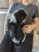 processed/3ecedac2-33ea-4290-a0cc-ecc2d871728d/listing/08c0a061-80f9-4974-a0a8-0e36fbd3fbeb/f384272c-0f25-4e23-ab74-5b2d5aecabf5