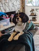 processed/3ecedac2-33ea-4290-a0cc-ecc2d871728d/listing/cf80f841-67f8-42c7-aa85-e655826f4257/0b40a49c-0039-45ba-bb00-d0fafccb3eaf