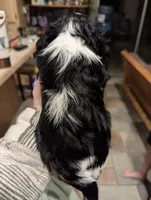 processed/3ecedac2-33ea-4290-a0cc-ecc2d871728d/listing/cf80f841-67f8-42c7-aa85-e655826f4257/5c4af77f-6cc5-4404-81a0-18bac995bc1f