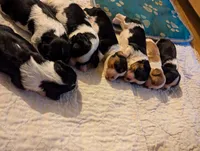 processed/3ecedac2-33ea-4290-a0cc-ecc2d871728d/listing/d28550dc-bff5-433c-9756-c72f39cc7155/06e9d8eb-2b6e-4857-a472-320e0a774e80