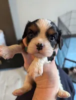 processed/3ecedac2-33ea-4290-a0cc-ecc2d871728d/listing/d28550dc-bff5-433c-9756-c72f39cc7155/36fd008f-0ab5-4f33-99f6-d51573f3b958