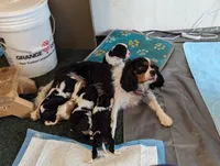 processed/3ecedac2-33ea-4290-a0cc-ecc2d871728d/listing/d28550dc-bff5-433c-9756-c72f39cc7155/567b18e7-c4b2-46dc-9a7b-ca062e67e7c2