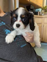 processed/3ecedac2-33ea-4290-a0cc-ecc2d871728d/listing/d28550dc-bff5-433c-9756-c72f39cc7155/a73c5e16-fc84-42cc-a63d-95ac2fef2f75