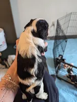 processed/3ecedac2-33ea-4290-a0cc-ecc2d871728d/listing/d28550dc-bff5-433c-9756-c72f39cc7155/bdca752a-3266-48ae-b9cd-4dc71237955e