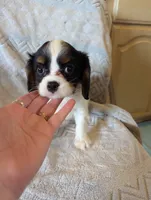 processed/3ecedac2-33ea-4290-a0cc-ecc2d871728d/listing/d28550dc-bff5-433c-9756-c72f39cc7155/f54244a5-7843-4a93-9eaa-bea6b4c8697e