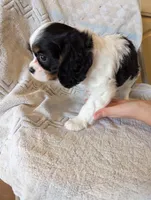 processed/3ecedac2-33ea-4290-a0cc-ecc2d871728d/listing/d28550dc-bff5-433c-9756-c72f39cc7155/fa39fd0a-b828-4df2-a852-89e4074c9fad