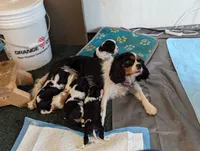 processed/3ecedac2-33ea-4290-a0cc-ecc2d871728d/listing/d499ab7d-3f48-469b-9c2e-471dcd5c7f02/0c4cc9f6-4de4-44df-8863-ac087a73b078