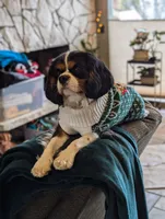 processed/3ecedac2-33ea-4290-a0cc-ecc2d871728d/listing/d499ab7d-3f48-469b-9c2e-471dcd5c7f02/61299d33-b393-4dbf-a816-95e9533d21c9