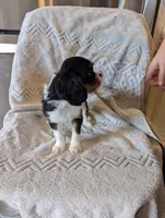 processed/3ecedac2-33ea-4290-a0cc-ecc2d871728d/listing/d499ab7d-3f48-469b-9c2e-471dcd5c7f02/783aeb1e-525a-4b03-a9bd-0887b076a5a9