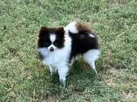 processed/3ecf2ec3-2940-4f37-92b7-23e9cb1bd7cc/listing/835664b0-78d4-4e5d-a915-5978311d5143/1020e1d0-c32f-46ec-8092-52ea0f24e3fb