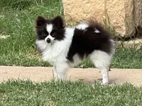 processed/3ecf2ec3-2940-4f37-92b7-23e9cb1bd7cc/listing/835664b0-78d4-4e5d-a915-5978311d5143/6a7da7a0-18c1-4083-884f-ead57327bbce