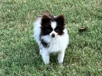 processed/3ecf2ec3-2940-4f37-92b7-23e9cb1bd7cc/listing/835664b0-78d4-4e5d-a915-5978311d5143/f2f40c11-48a9-4ede-ab9e-38c3ae4f4f9c