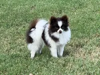 processed/3ecf2ec3-2940-4f37-92b7-23e9cb1bd7cc/listing/835664b0-78d4-4e5d-a915-5978311d5143/fc3563be-722e-415c-a048-274238530b39