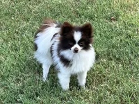 processed/3ecf2ec3-2940-4f37-92b7-23e9cb1bd7cc/listing/835664b0-78d4-4e5d-a915-5978311d5143/ff6bf30a-1fe1-46e6-bf71-93e87ec0a80e