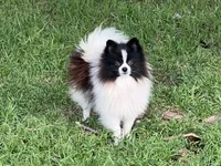 processed/3ecf2ec3-2940-4f37-92b7-23e9cb1bd7cc/listing/c4a15395-2f28-44d1-b8b9-0466aded8815/98101a99-afc1-4577-9b19-9c66ab7339b3