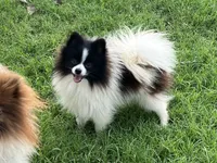 processed/3ecf2ec3-2940-4f37-92b7-23e9cb1bd7cc/listing/c4a15395-2f28-44d1-b8b9-0466aded8815/9bb0769e-ee7a-4bc4-8037-76c2181ad8e2