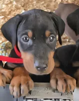 processed/3ed59f0f-84c7-4618-a2d6-6eaa98921fb8/listing/661800d5-b676-4320-b1a1-1c8987e79d0e/4994ec00-3019-4122-a888-5efe596b74e4