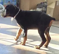 processed/3ed59f0f-84c7-4618-a2d6-6eaa98921fb8/listing/8348c0fd-a73a-43e4-84ae-c328f01febcc/5878ee9d-936b-4214-aca3-5f5947b1bd4e