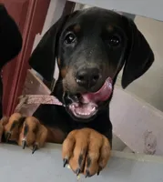 processed/3ed59f0f-84c7-4618-a2d6-6eaa98921fb8/listing/8348c0fd-a73a-43e4-84ae-c328f01febcc/5ca3de4b-a613-4209-b24b-120c97403347