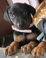 processed/3ed59f0f-84c7-4618-a2d6-6eaa98921fb8/listing/8348c0fd-a73a-43e4-84ae-c328f01febcc/678a0cc9-f8a4-488c-8842-d90195daff4d