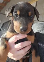 processed/3ed59f0f-84c7-4618-a2d6-6eaa98921fb8/listing/879b6210-c77c-4280-b99f-ef86c54402c4/94e45db9-bd46-4dc4-bc35-52ef972d9264