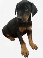 processed/3ed59f0f-84c7-4618-a2d6-6eaa98921fb8/listing/c3da9f58-413c-4708-81d6-a792cbc69cab/41ec1651-b6c1-4ad0-9060-88290c5fa933