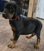 processed/3ed59f0f-84c7-4618-a2d6-6eaa98921fb8/listing/c3da9f58-413c-4708-81d6-a792cbc69cab/70903251-c94f-4c1d-8228-7f656dafedd0