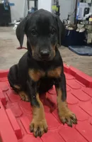 processed/3ed59f0f-84c7-4618-a2d6-6eaa98921fb8/listing/c3da9f58-413c-4708-81d6-a792cbc69cab/7d1867eb-c85d-4db6-a403-01973e3ad33d