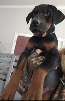 processed/3ed59f0f-84c7-4618-a2d6-6eaa98921fb8/listing/e882a265-c8a6-41f5-972a-5c348d0210db/14492cc9-7cad-4382-8552-8ddcfc3f446b