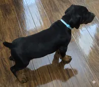 processed/3ed59f0f-84c7-4618-a2d6-6eaa98921fb8/listing/e882a265-c8a6-41f5-972a-5c348d0210db/2f14dc39-0112-4836-90af-88a4041f4dae