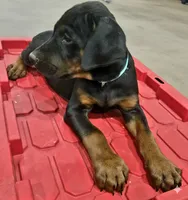 processed/3ed59f0f-84c7-4618-a2d6-6eaa98921fb8/listing/e882a265-c8a6-41f5-972a-5c348d0210db/74705a26-1499-467c-8e47-1bd02d0203ee