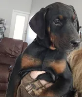 processed/3ed59f0f-84c7-4618-a2d6-6eaa98921fb8/listing/e882a265-c8a6-41f5-972a-5c348d0210db/846e9c60-0d85-4242-ba72-26772174a22e