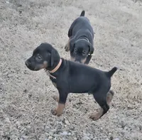 processed/3ed59f0f-84c7-4618-a2d6-6eaa98921fb8/listing/ed1aae43-1a73-4449-94cb-dcf02235cf78/ab17c82b-2f9d-4c4b-8923-e7c13cb30c23