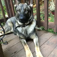 processed/3ed68027-1a7b-4a4e-a76e-d209a5412204/facility/0be0e944-7c17-40b8-af43-18a6864608f7