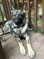 processed/3ed68027-1a7b-4a4e-a76e-d209a5412204/facility/0be0e944-7c17-40b8-af43-18a6864608f7