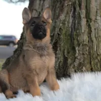 processed/3ed68027-1a7b-4a4e-a76e-d209a5412204/facility/263c1190-9491-4bb8-b579-eae2a65ebc6c