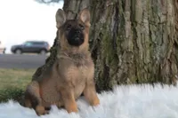 processed/3ed68027-1a7b-4a4e-a76e-d209a5412204/facility/263c1190-9491-4bb8-b579-eae2a65ebc6c